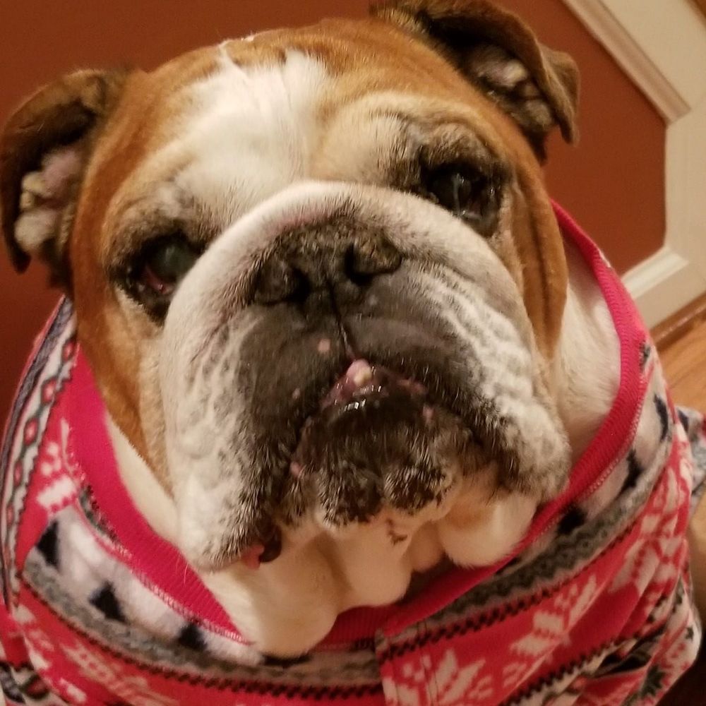 Meet your Posher, Maria